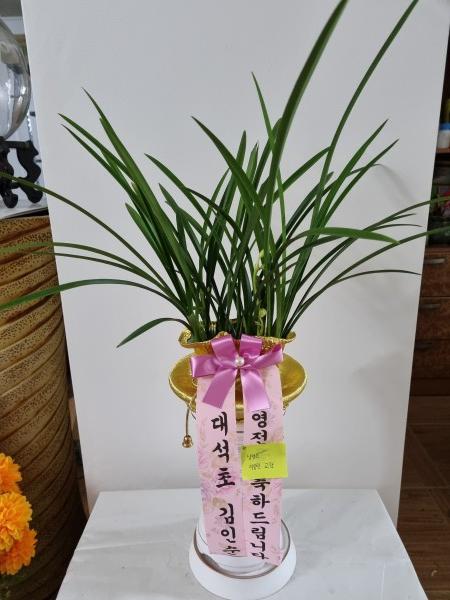 업로드 이미지