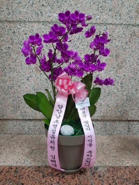 업로드 이미지