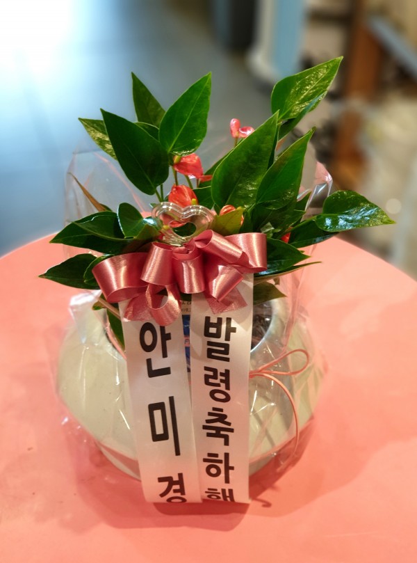 업로드 이미지