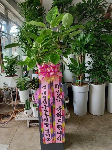 업로드 이미지