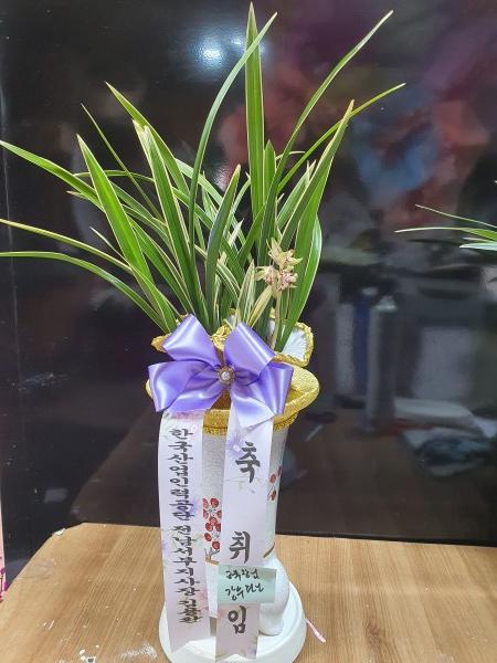 업로드 이미지