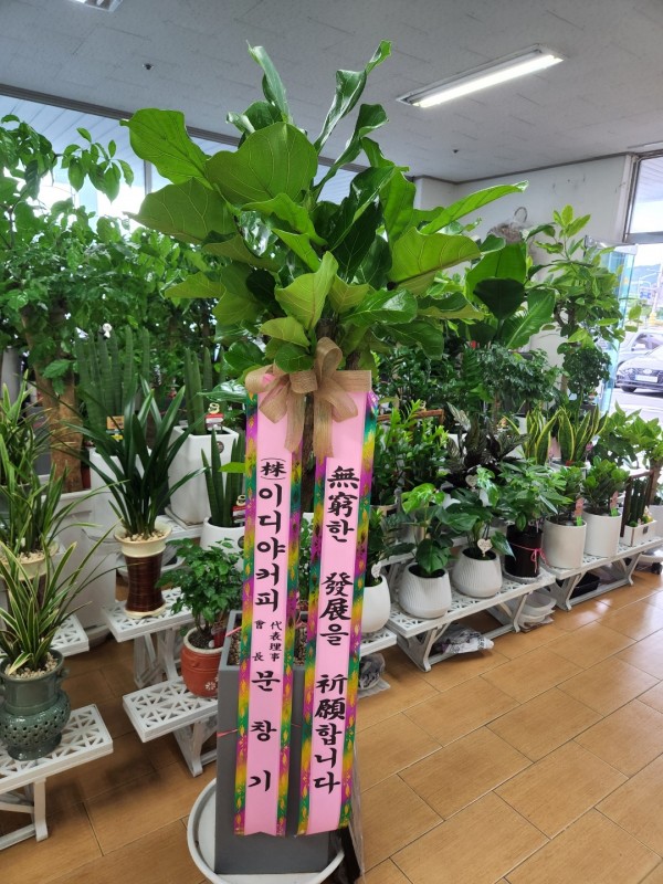 업로드 이미지