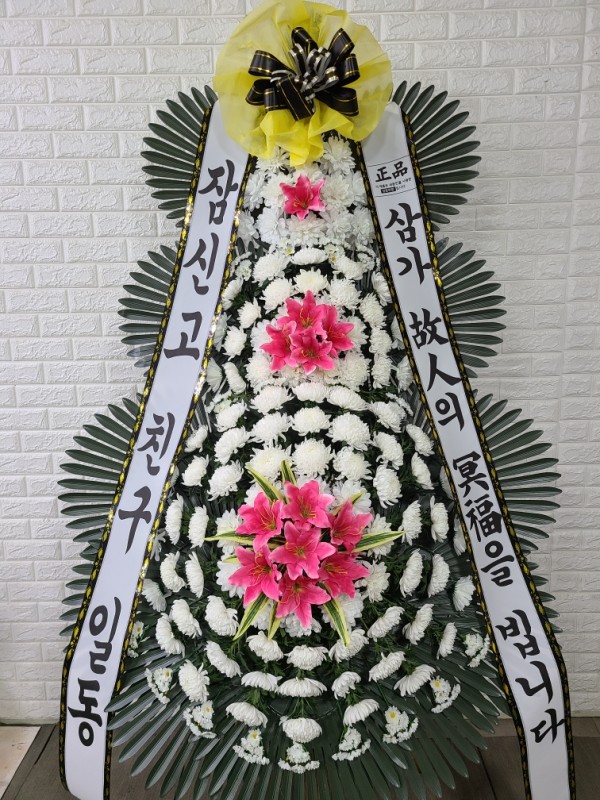업로드 이미지