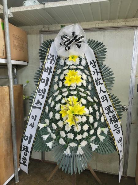업로드 이미지