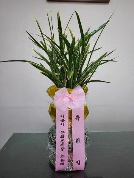 업로드 이미지
