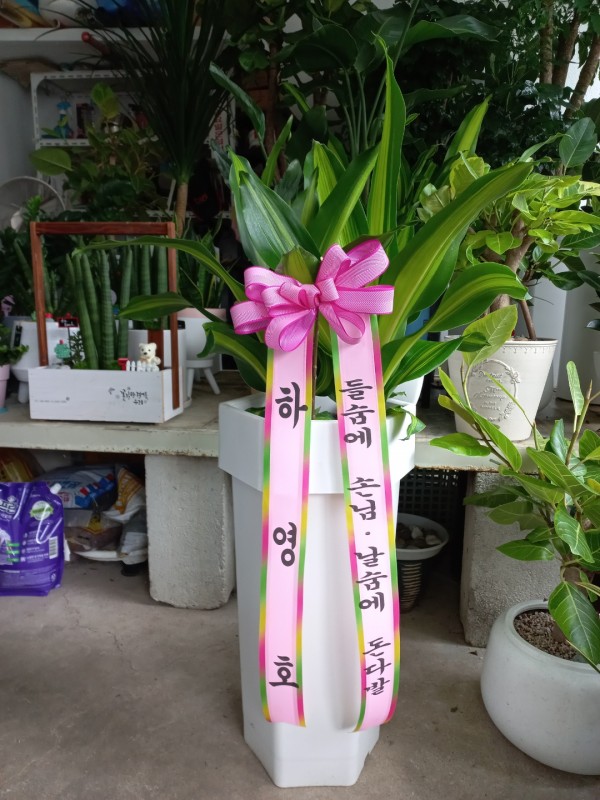 업로드 이미지