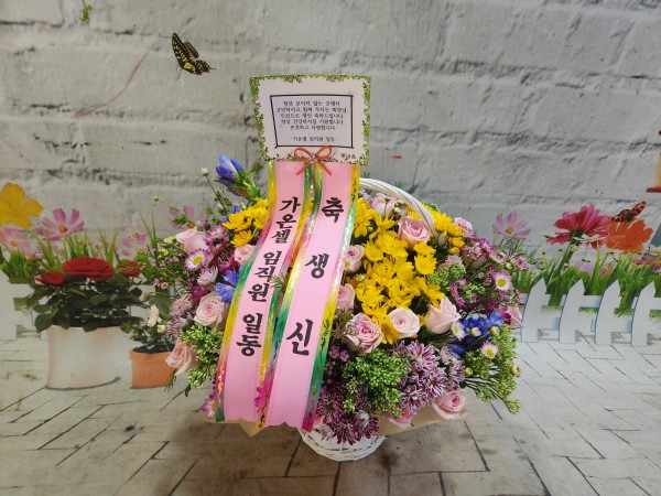 업로드 이미지