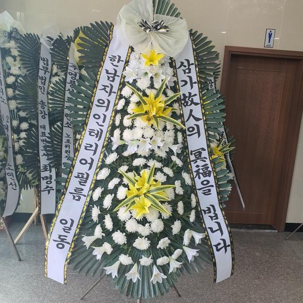 업로드 이미지