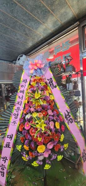 업로드 이미지