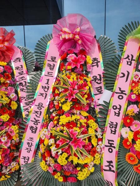 업로드 이미지