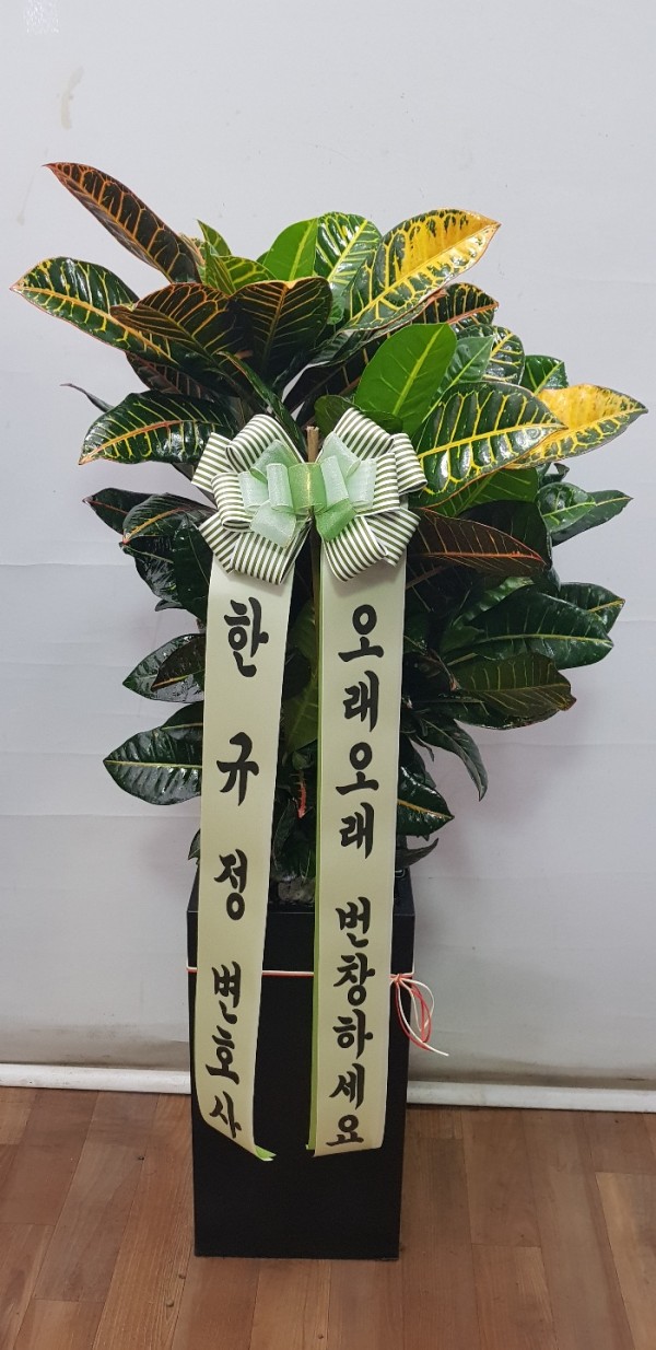 업로드 이미지