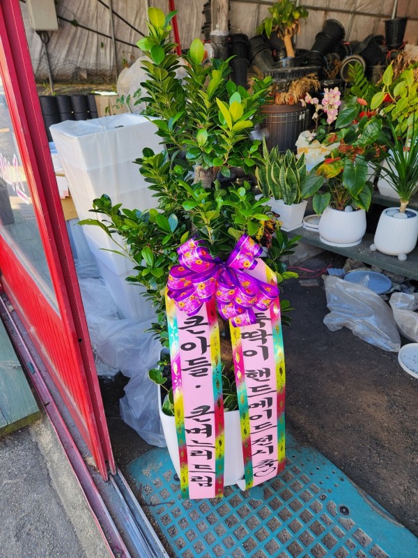 업로드 이미지