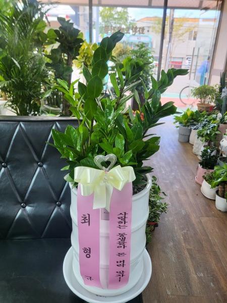 업로드 이미지