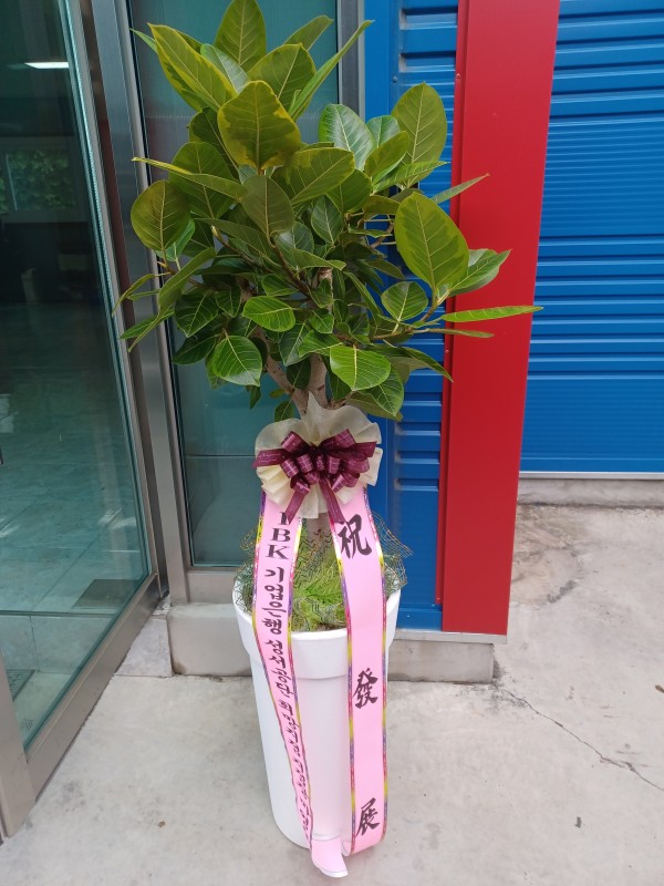 업로드 이미지