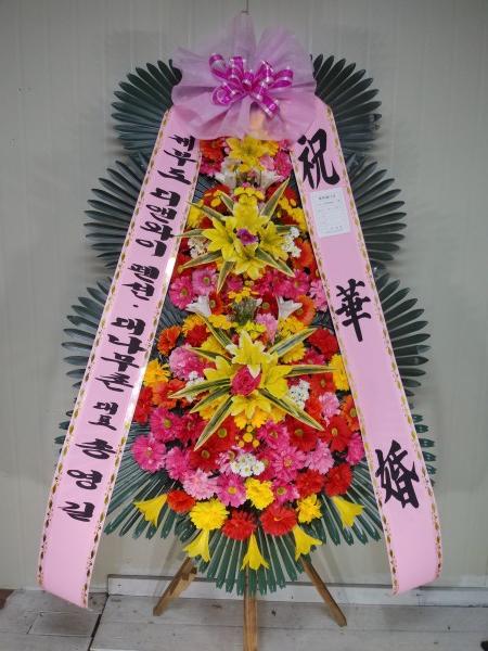 업로드 이미지