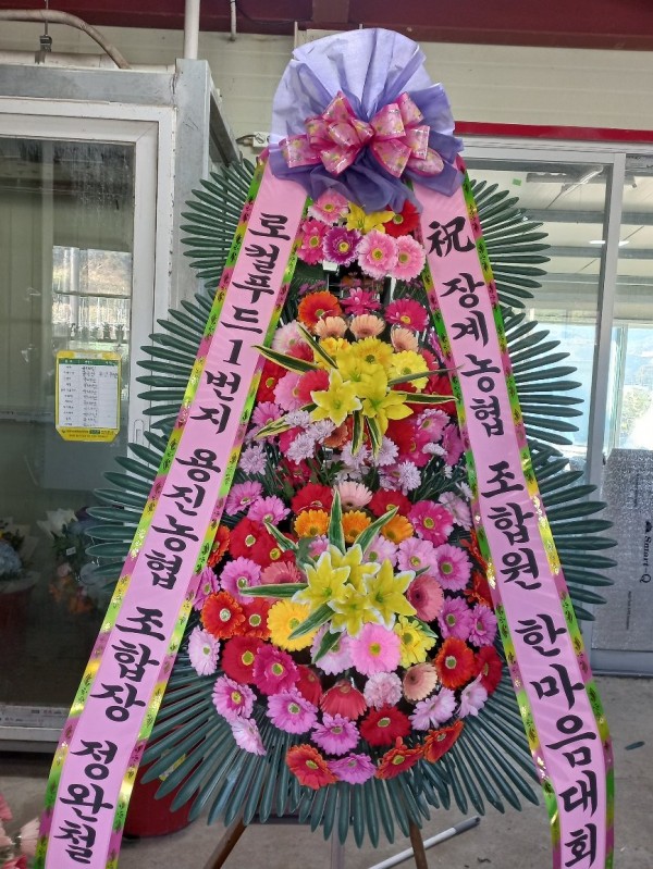 업로드 이미지