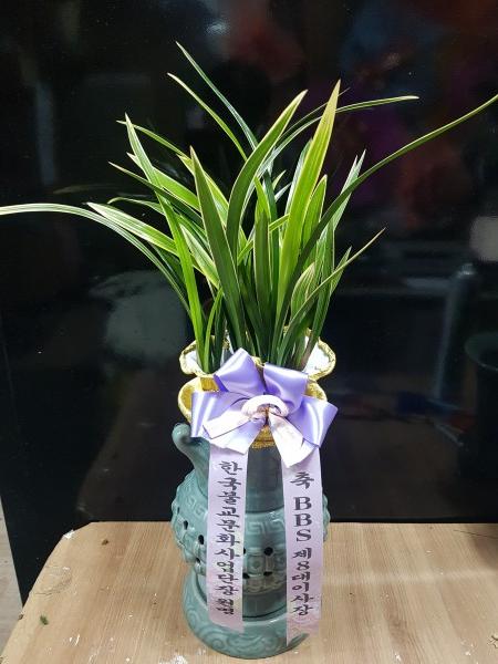 업로드 이미지