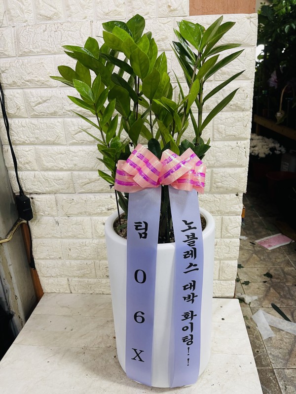 업로드 이미지