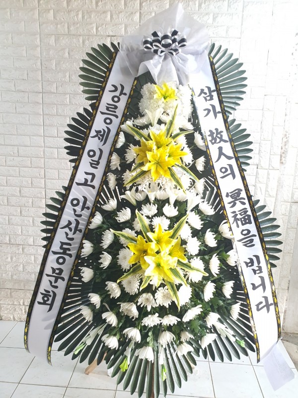 업로드 이미지
