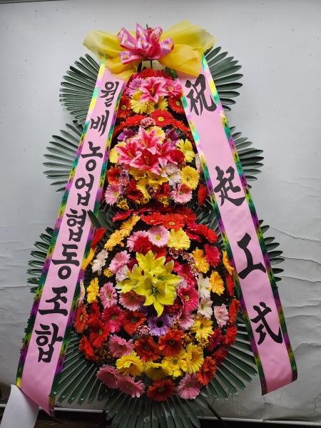업로드 이미지