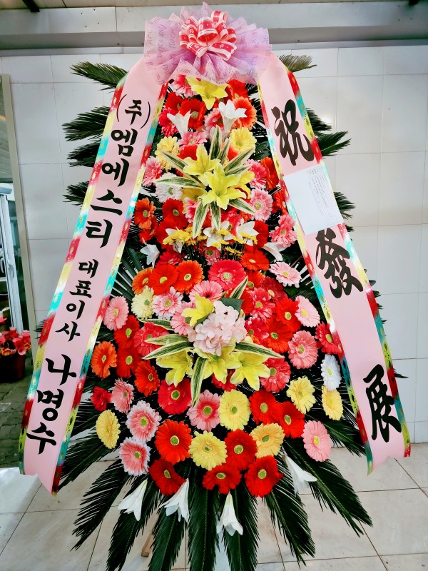 업로드 이미지