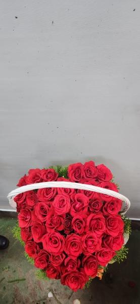 업로드 이미지
