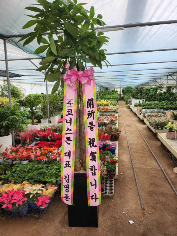 업로드 이미지