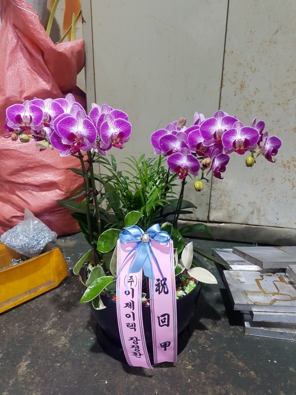 업로드 이미지