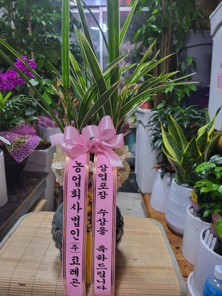 업로드 이미지