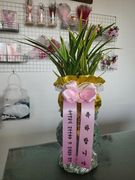 업로드 이미지