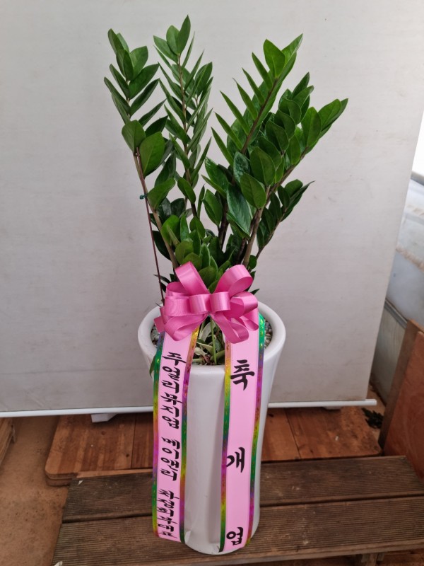 업로드 이미지