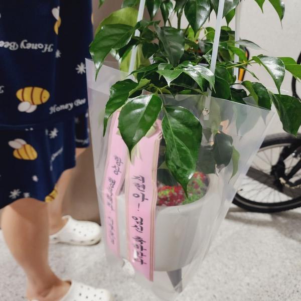 업로드 이미지