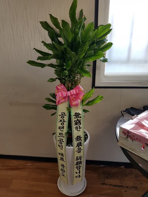업로드 이미지