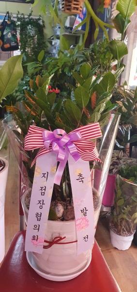 업로드 이미지