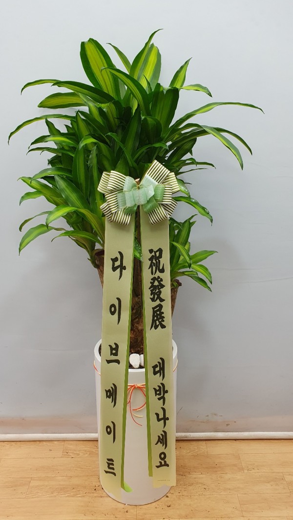 업로드 이미지