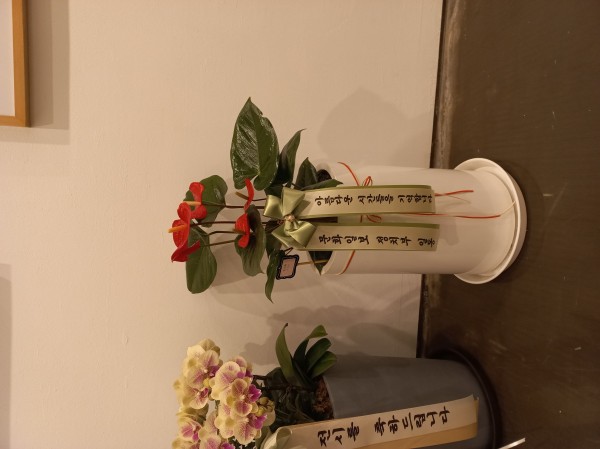 업로드 이미지