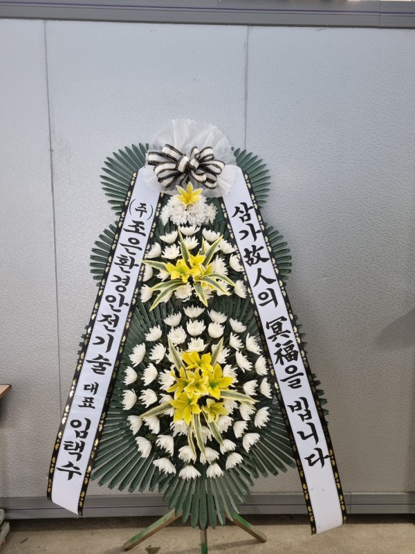 업로드 이미지