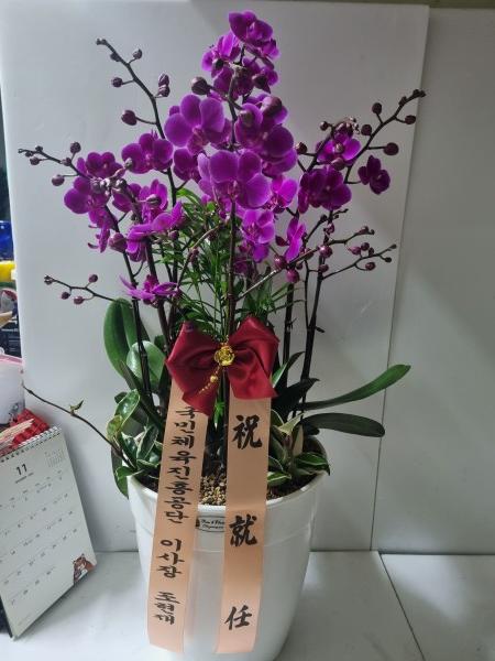 업로드 이미지