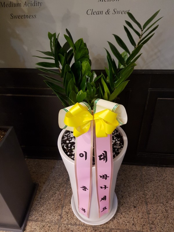 업로드 이미지