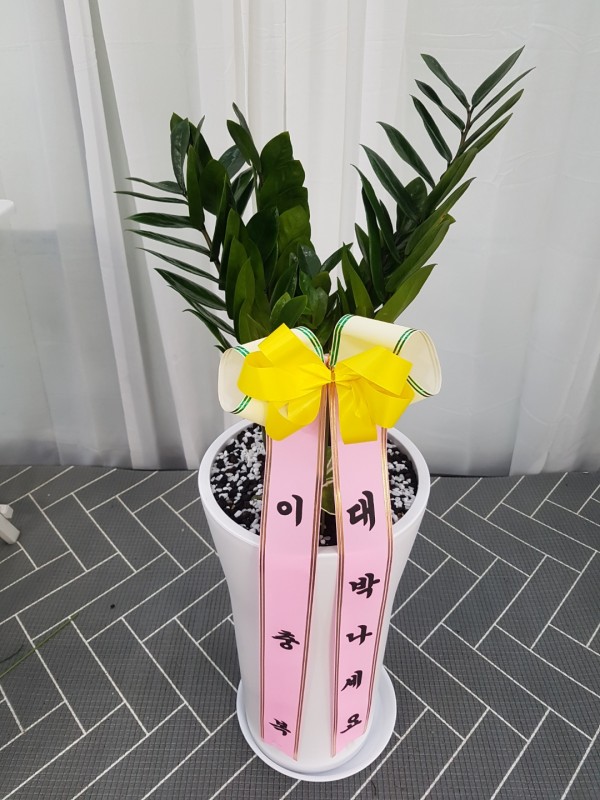 업로드 이미지