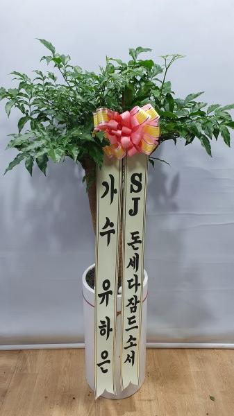 업로드 이미지