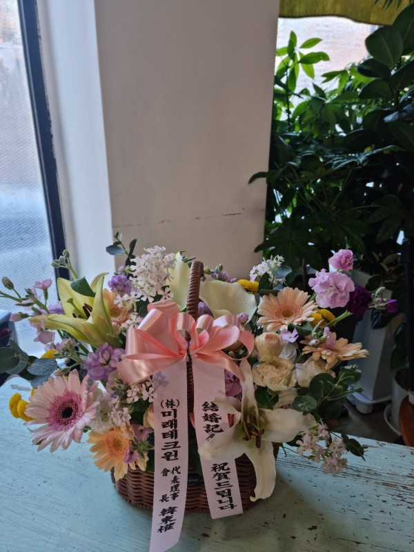 업로드 이미지