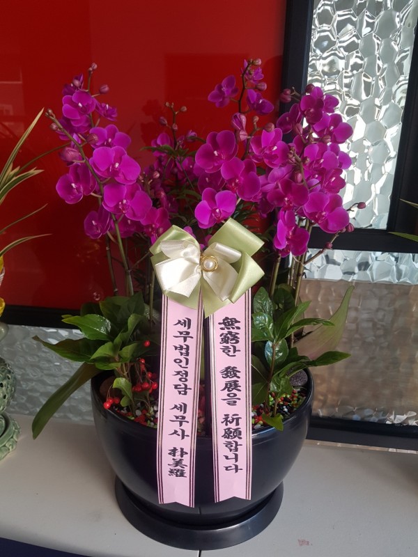 업로드 이미지