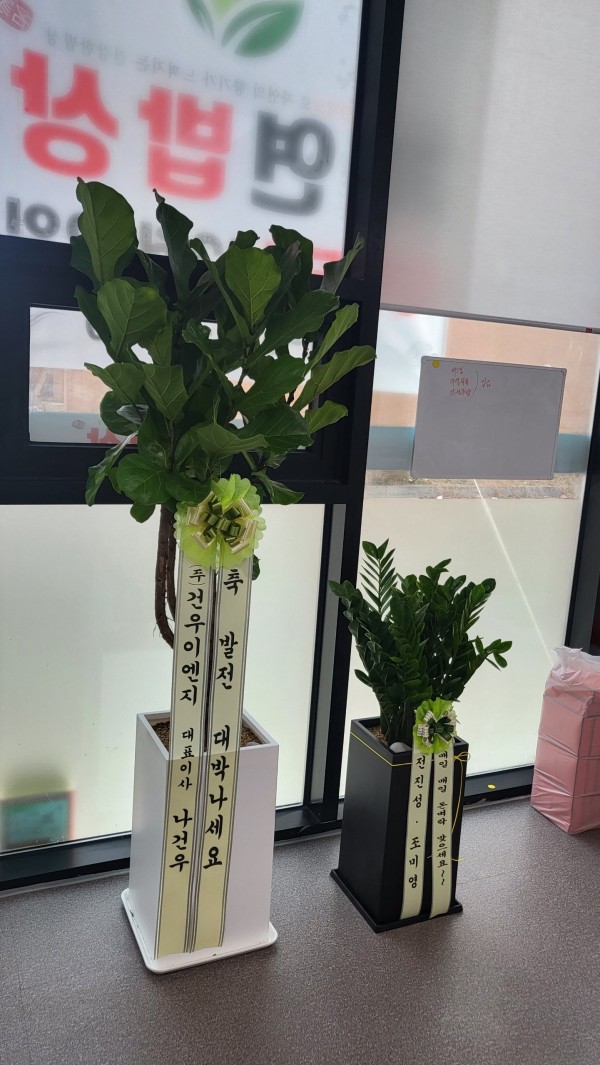 업로드 이미지