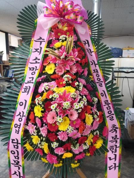업로드 이미지