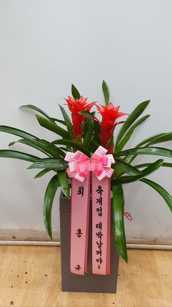 업로드 이미지