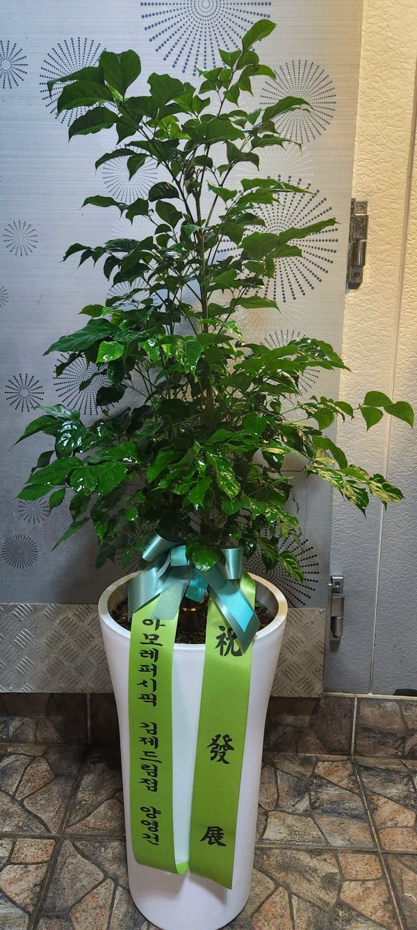업로드 이미지