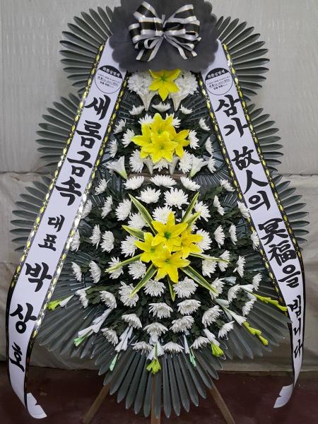 업로드 이미지