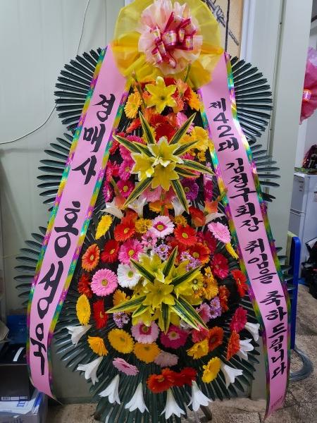 업로드 이미지