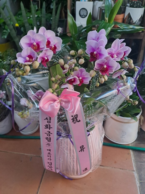업로드 이미지